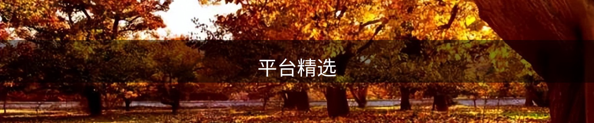 平台精选