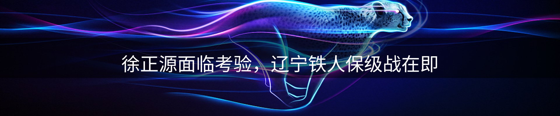 平台精选