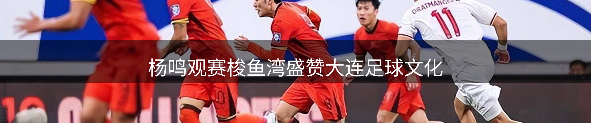 平台精选